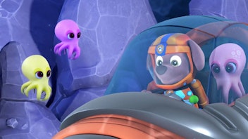 PAW Patrol - Kurze Clips Die Unterwasserausstellung