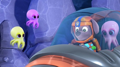 PAW Patrol - Kurze Clips Die Unterwasserausstellung