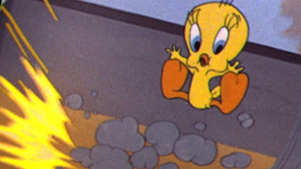 Bugs Bunny & Looney Tunes Tweety Ahoi