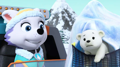 PAW Patrol - Helfer auf vier Pfoten Das Eisbärenjunge