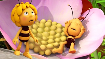 Die Biene Maja Kein Schlaf für Maja