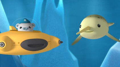 Die Oktonauten Die Oktonauten und der Narwal