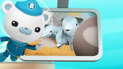 Das Okto-Lied Das Korallenriff