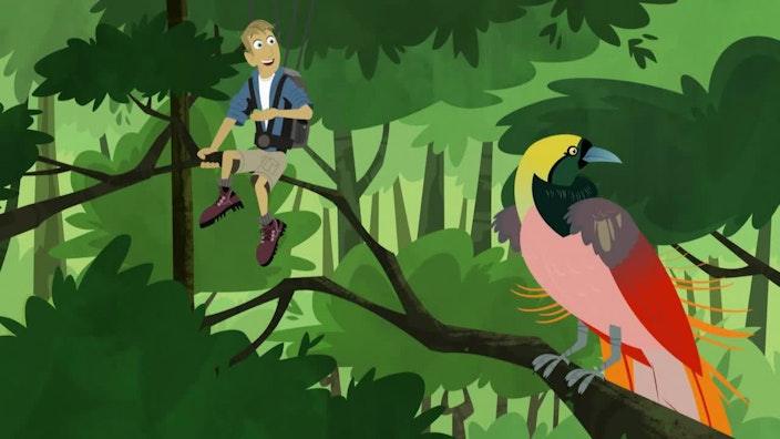 Go Wild! - Mission Wildnis Gefiederte Tänzer