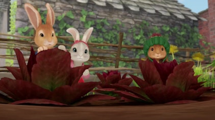 Peter Hase Die Geschichte von der gemeinen Falle