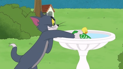 Die Tom und Jerry Show Das Vogelbad