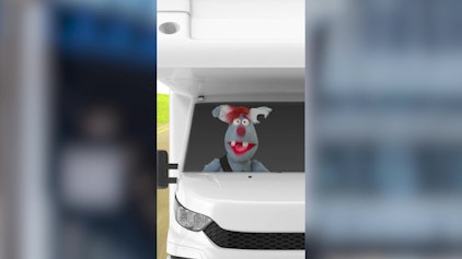 Woozle Shorts Beifahrer