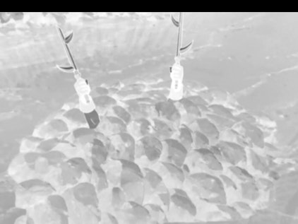 Naruto Das Geheimnis von Ranmaru