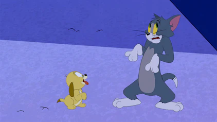 Die Tom und Jerry Show Der Werwolf von Katzenvanien