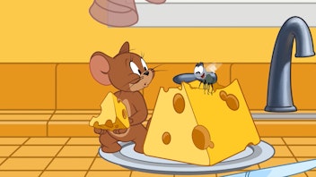 Die Tom und Jerry Show Die freche Fliege