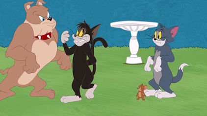 Die Tom und Jerry Show Der Straßenrüpel