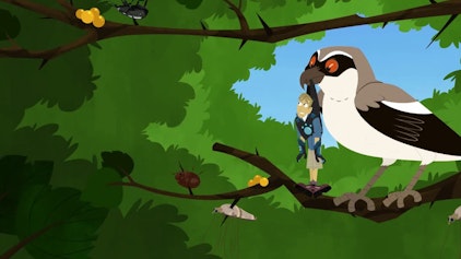 Go Wild! - Mission Wildnis Die Vögel der Prärie