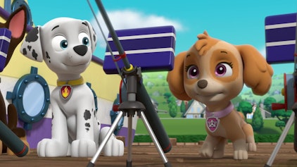 PAW Patrol - Helfer auf vier Pfoten Onkel Herbert und der Unterwasser-Schatz