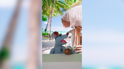 Woozle Shorts Reisende