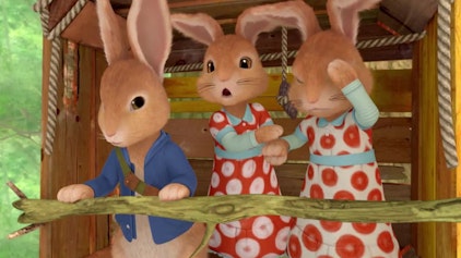 Peter Hase Die Geschichte von Flopsi und Hopsi im Baumhaus