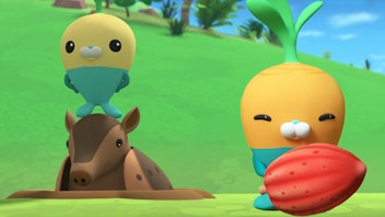 Die Oktonauten auf dem Festland Die Suche nach Kakao