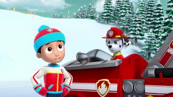 PAW Patrol - Helfer auf vier Pfoten Eine bärenstarke Rettung