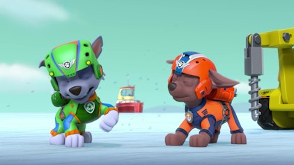 PAW Patrol - Helfer auf vier Pfoten Die Fellfreunde retten ein Wal-Baby