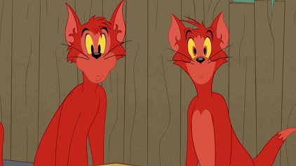 Die Tom und Jerry Show Wer ist der Coolste?