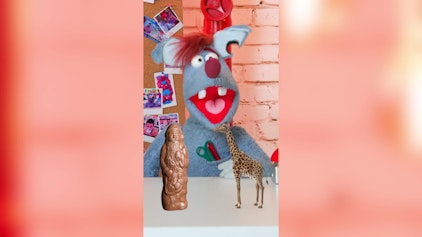 Woozle Shorts Größter Schoko-Weihnachtsmann