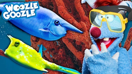 Woozle Goozle Fische