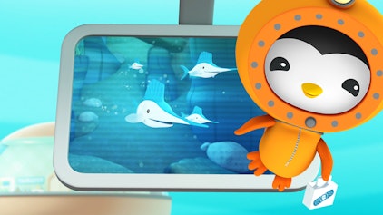 Das Okto-Lied Die Fächerfische