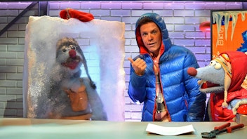 Woozle Goozle Arktis und Antarktis