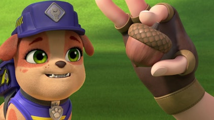 Rubble & Crew Die Crew baut eine Bücher-Teestube