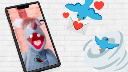 Woozle Shorts Waum können Kolibris rückwärts fliegen?