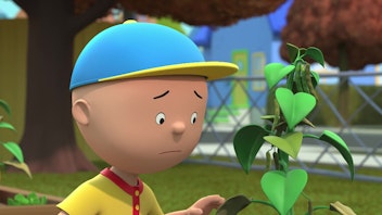 Caillou Abschied von Bohni