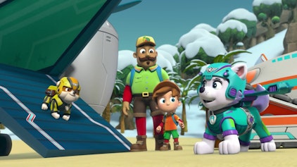 PAW Patrol - Helfer auf vier Pfoten Die verschneite Insel