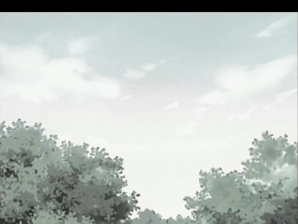 Naruto Das Jutsu des vertrauten Geistes