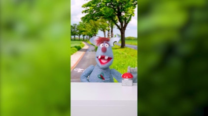 Woozle Shorts Schulweg