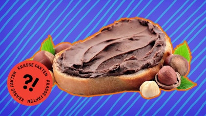 GEOLINO TV - Kurze Clips 9: Nuss-Nougat-Creme