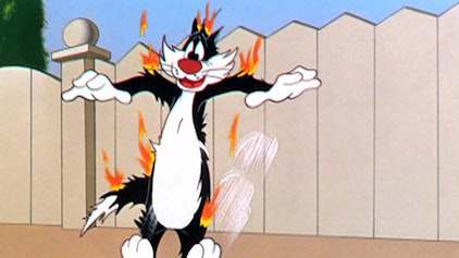 Bugs Bunny & Looney Tunes Schlafende Hunde soll man nicht wecken