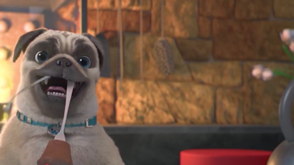 Mighty Mops Heißkalt erwischt