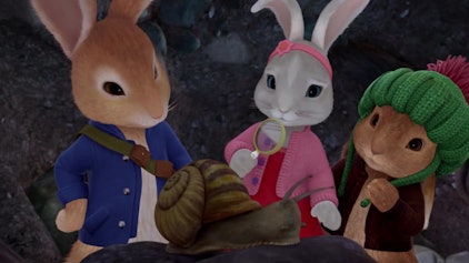 Peter Hase Die Geschichte von Benjamins Schneckenfreund