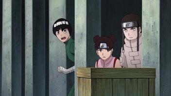 Naruto Shippuden Prioritäten