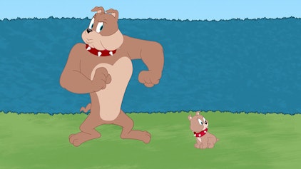 Die Tom und Jerry Show Die Hundchen-Olympiade