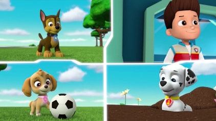 PAW Patrol - Helfer auf vier Pfoten Die Pluster-Kätzchen