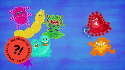 GEOLINO TV - Kurze Clips 4: Mehr Bakterien im Körper als Menschen auf der Erde