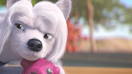 Mighty Mops Falscher Verdacht