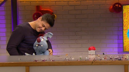 Woozle Goozle Kalender & Haare