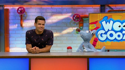 Woozle Goozle Die Vögel