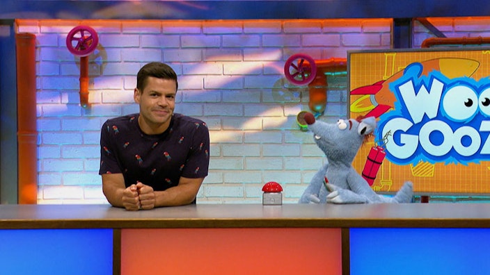 Woozle Goozle Die Vögel