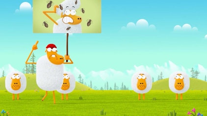 Karate Schaf Flohzirkus