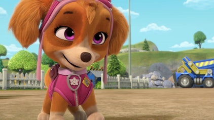 Rubble & Crew Die Crew und Skye bauen eine Berghütte