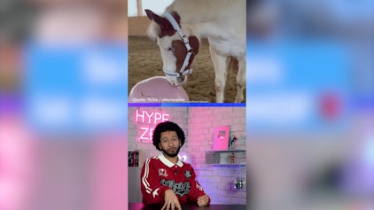 Hypezeit Shorts ViktoriaSarinas Rosenhof