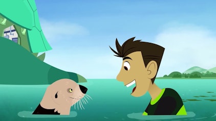 Go Wild! - Mission Wildnis Schwimmen mit Seeottern