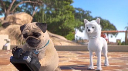 Mighty Mops Boing Boing